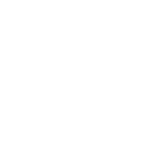 insurance up to 5-year trip