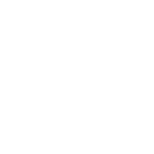 insurance for language pupils