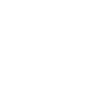 insurance for work and travel participants