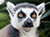 Reisetipps Madagaskar