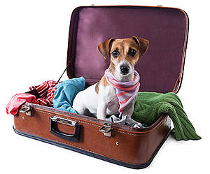 Reiseversicherung für Pauschalreisen